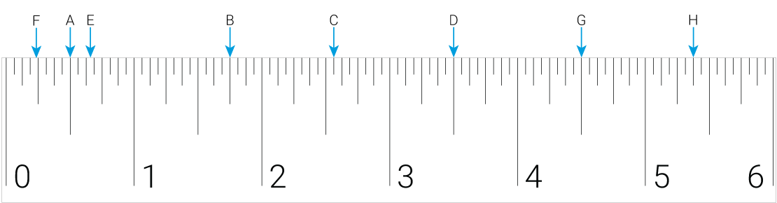 Picture of a 6 inch ruler.